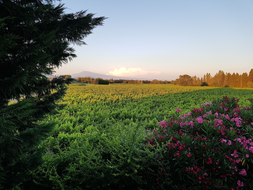 Comfort Double Room, 1 Queen Bed, Terrace, Vineyard View photo 2