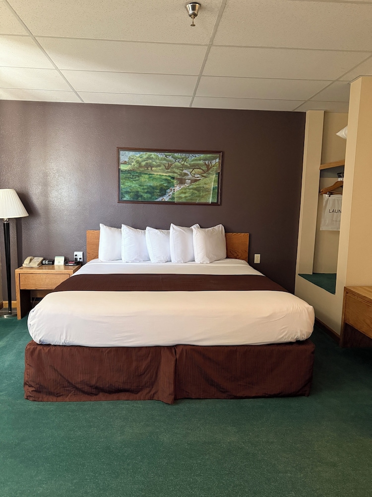 Suite, 1 King Bed photo 1