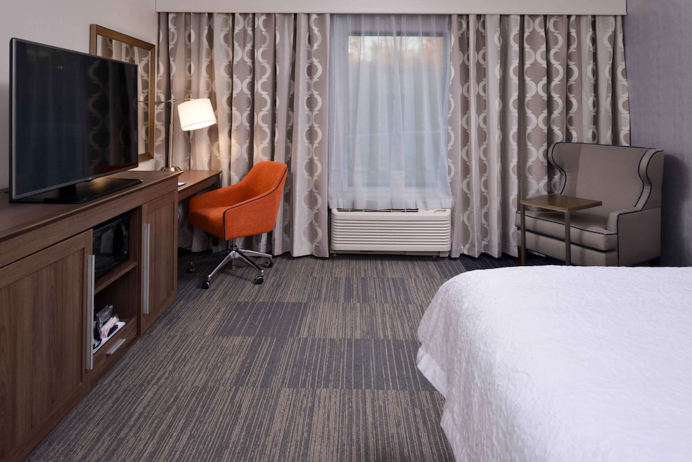 Room, 1 King Bed, Accessible, Bathtub (Hearing & Mobility) photo 1