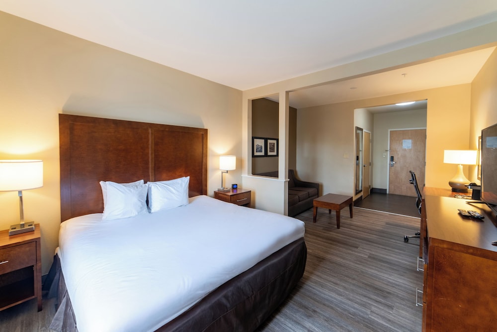 Suite, 1 King Bed - Photo 1