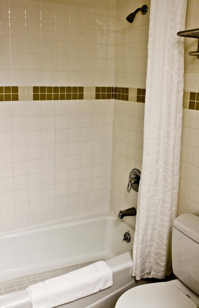 Standard Room (One Full Bed) photo 2