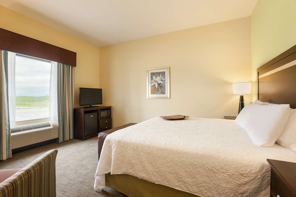 Room, 1 King Bed, Accessible, Non Smoking (Hearing) photo 3