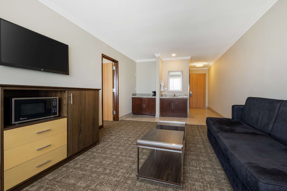 Suite, 1 King Bed, Non Smoking, Refrigerator & Microwave photo 2