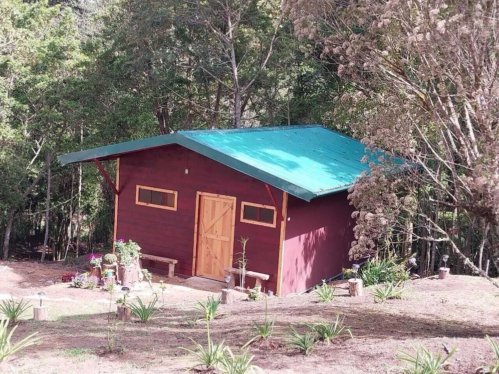 Standard Cabin photo 1