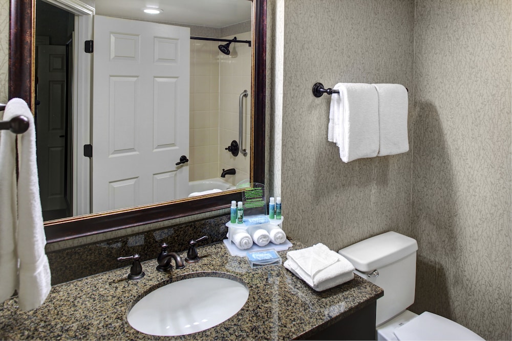 Standard Room, 1 King Bed, Accessible (Comm Mobil Tub) - Photo 5