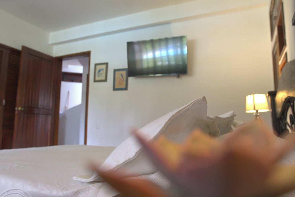 Comfort Double Room, Pool View photo 3