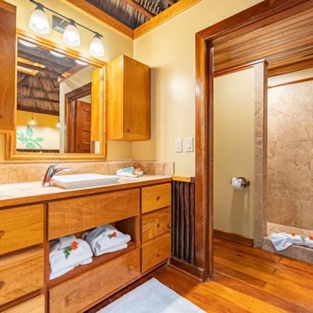 Jungle Standard, 2 Queen Beds photo 2