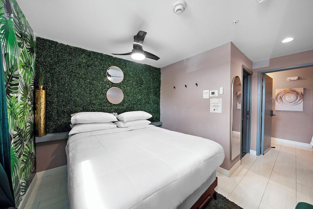 Single Room, 1 Queen Bed