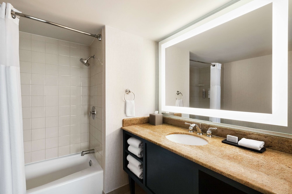 Suite, 1 King Bed, Pure Wellness (Air Purifier) - Photo 7