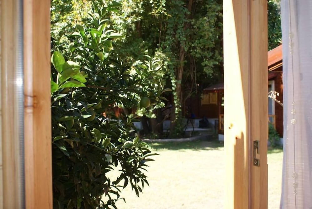 Bungalow photo 3