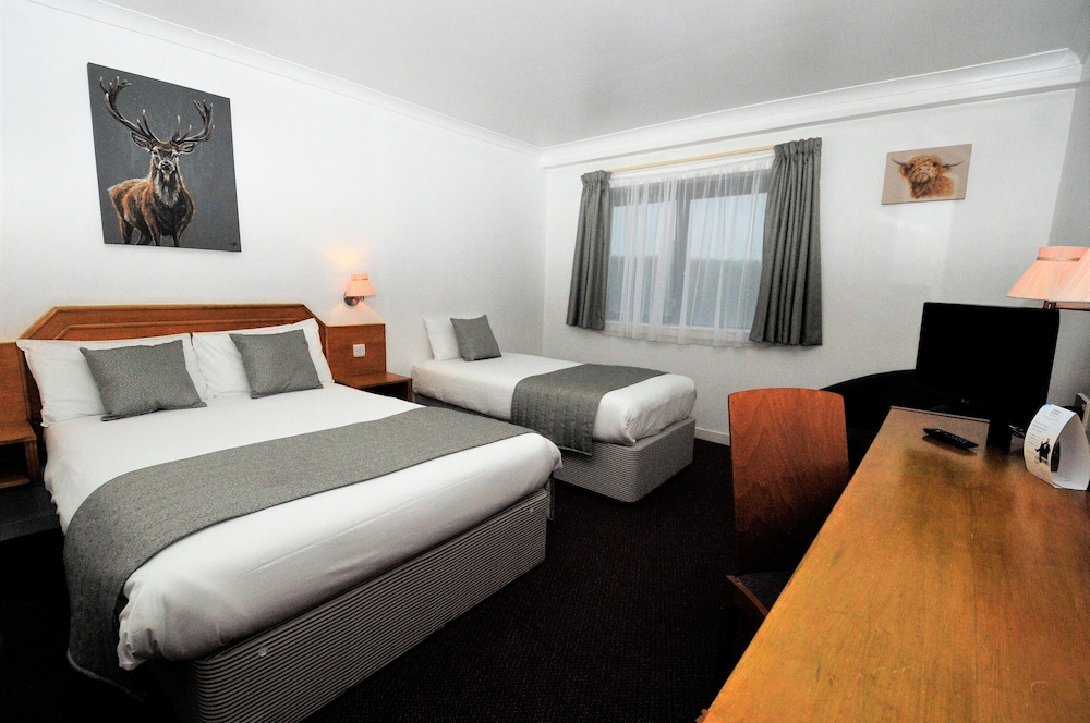 Room, Multiple Beds, Non Smoking photo 3