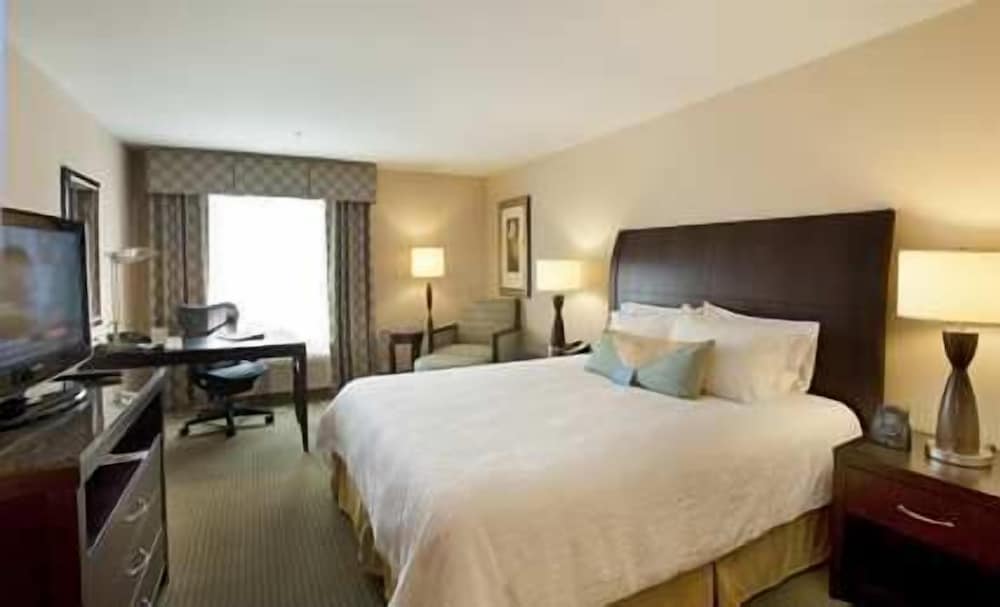 Room, 1 King Bed, Accessible photo 2