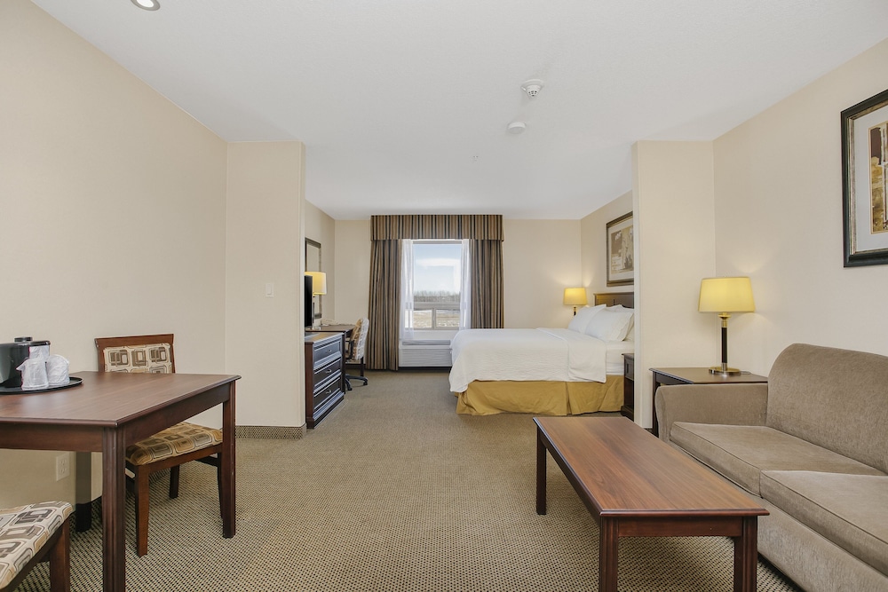 Suite, 1 King Bed - Photo 8