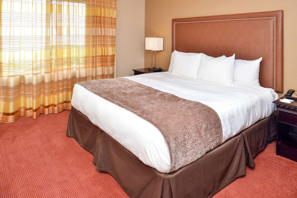 Suite, 1 King Bed With Sofa Bed, Non Smoking photo 1