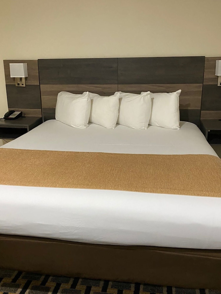 Basic Single Room, 1 King Bed, Accessible photo 2