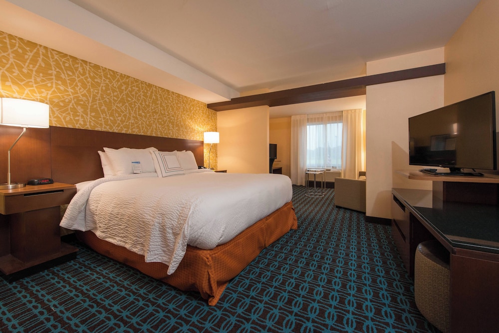 Suite, 1 King Bed with Sofa bed