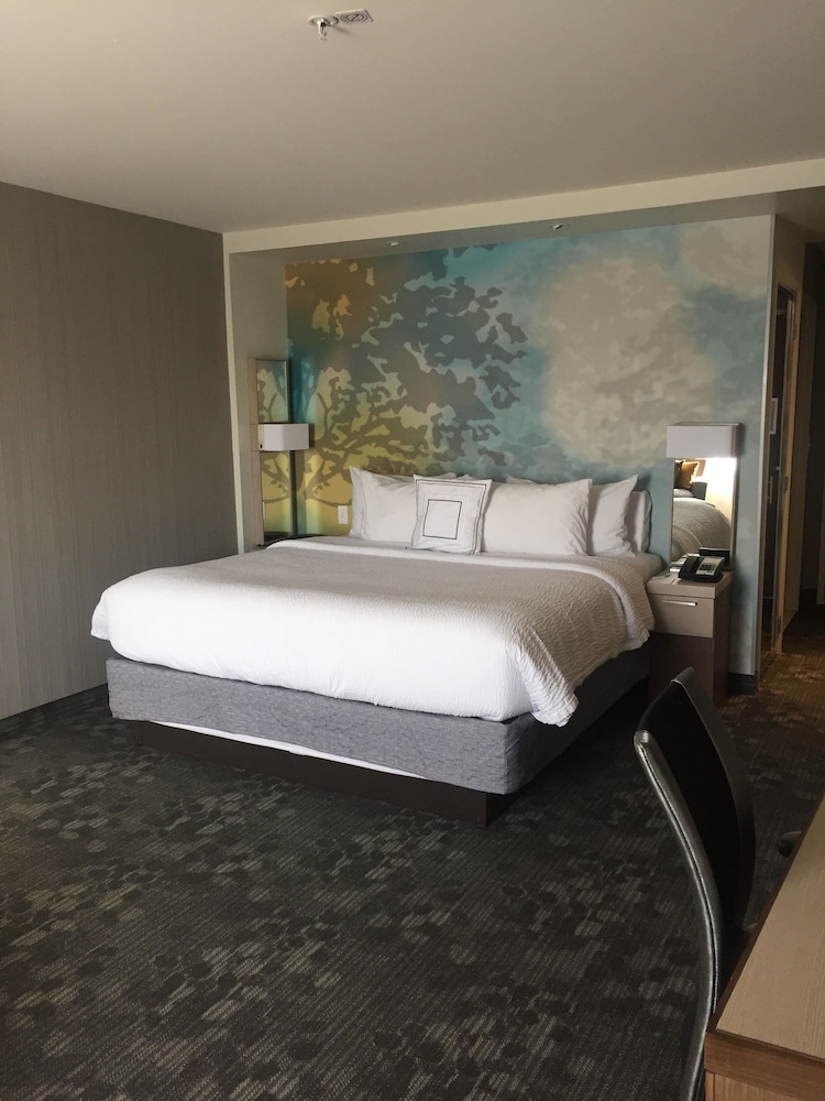 Room, 1 King Bed with Sofa bed (Mobility Accessible, Roll-in Shower) photo 1