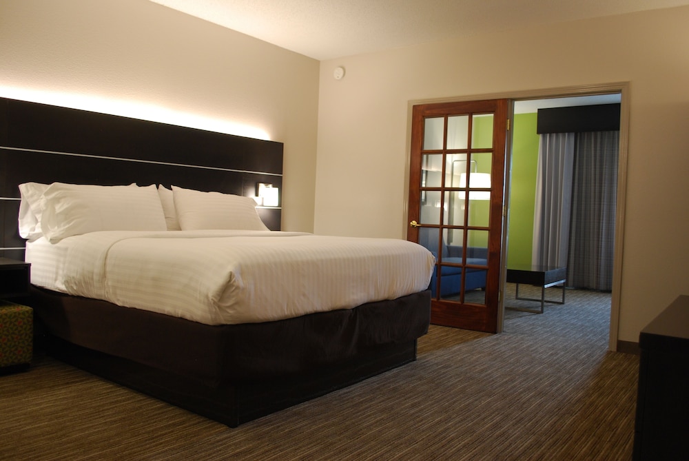 Suite, 1 King Bed - Photo 1