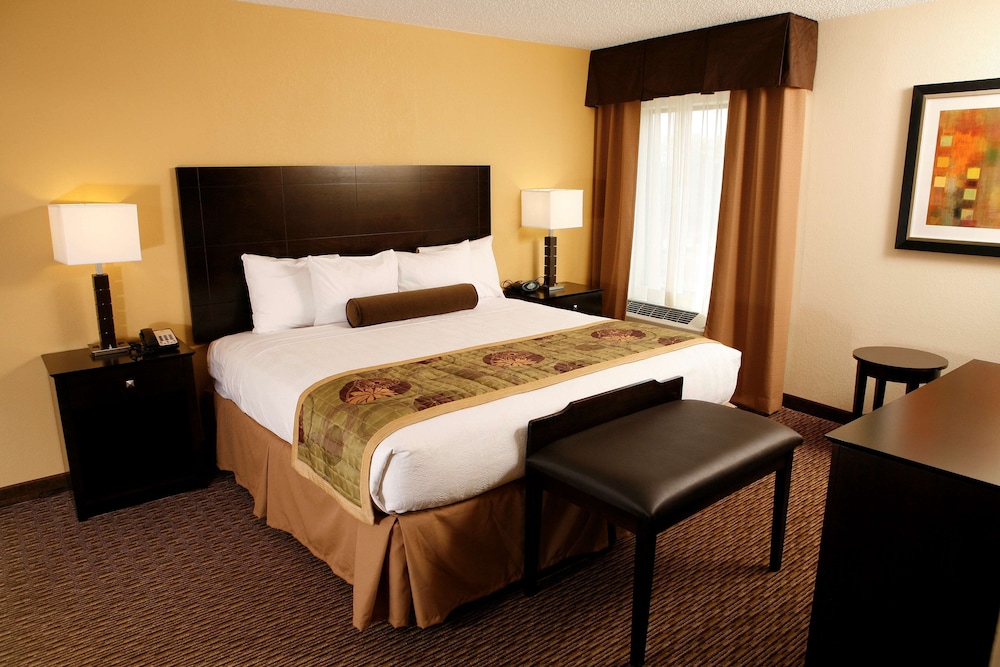 Suite, 1 King Bed, Non Smoking, Jetted Tub (with Sofabed) - Photo 1