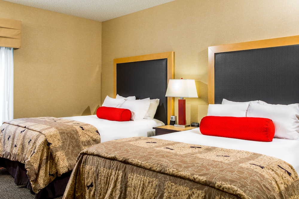 Standard Room, Multiple Beds, Non Smoking - Photo 2
