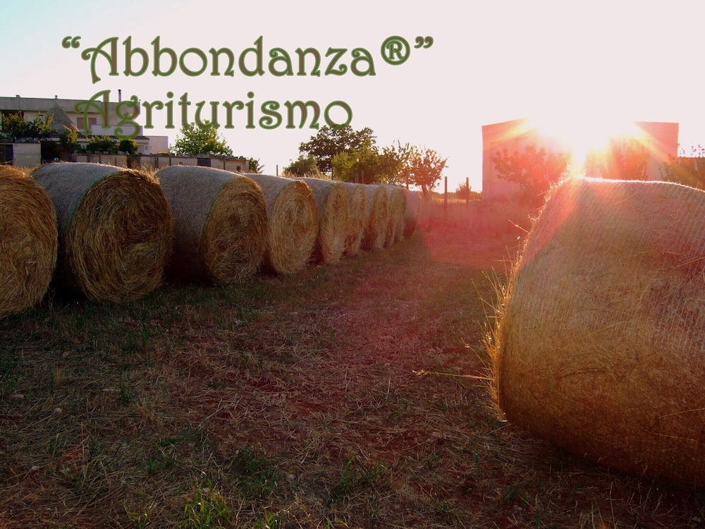 Room in Farmhouse - Agriturismo Abbondanza®, Billede 17