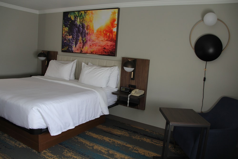 Room, 1 King Bed, Non Smoking - Photo 5