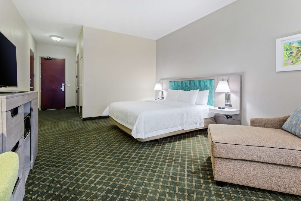 Room, 1 King Bed, Accessible, Bathtub (Mobility & Hearing) photo 3