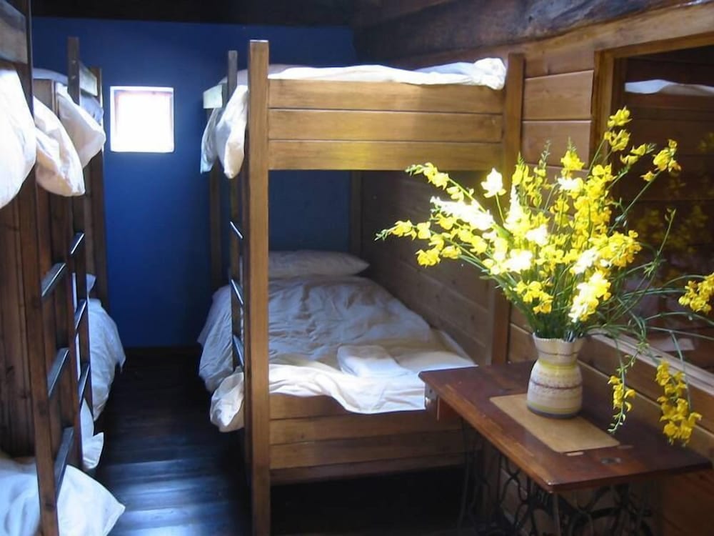 1 cama en una habitación compartida mixta