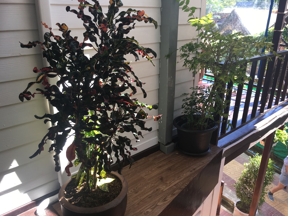 Standard Triple Room, 1 Bedroom, Balcony