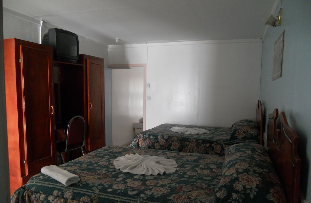 216 photo 2