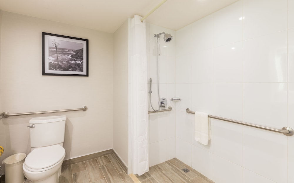 Room, 1 Queen Bed, Accessible photo 3