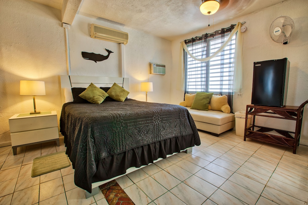 Premier Studio, 1 Queen Bed, Ocean View, Beachfront photo 1