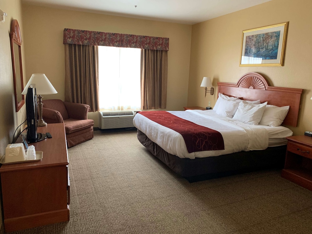 Suite, 1 King Bed, Accessible, Hot Tub - Photo 1