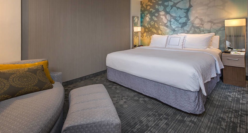 Room, 1 King Bed with Sofa bed (Mobility/Hearing Access, Roll-In Shwr) photo 1