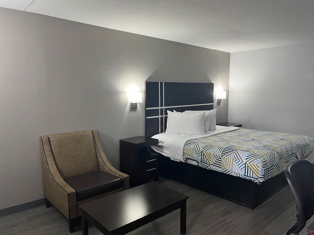 Deluxe Room, 1 King Bed, Non Smoking, Refrigerator & Microwave - Photo 3