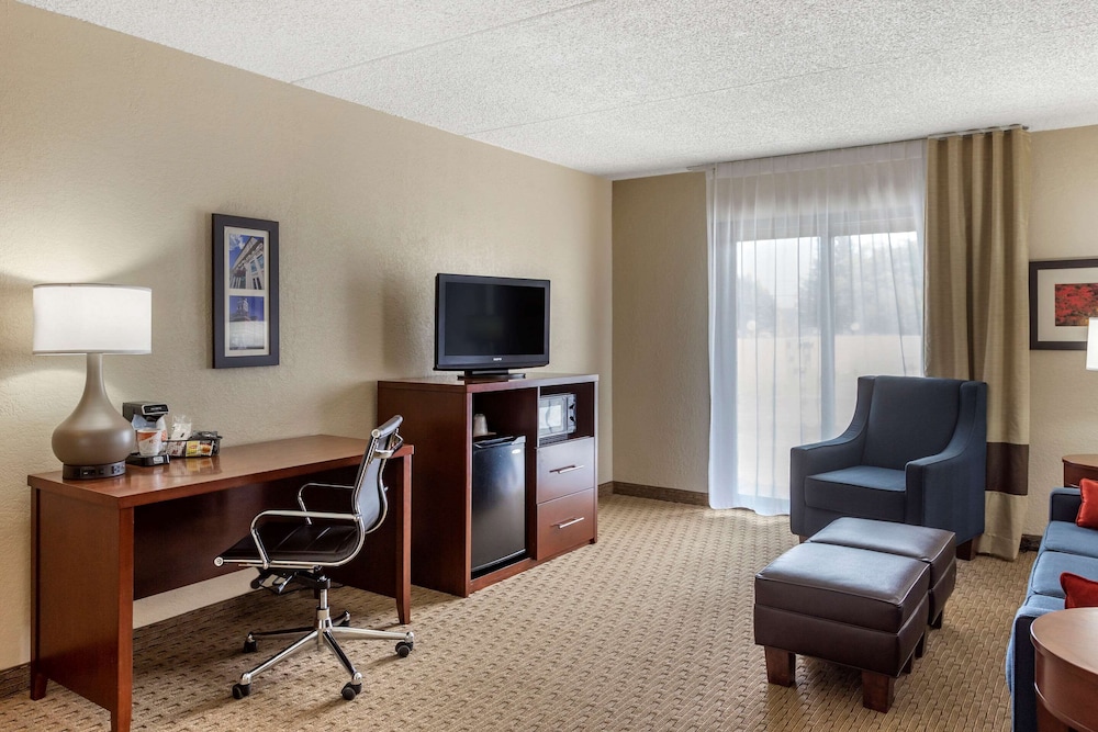 Standard Room, 1 King Bed with Sofa bed, Accessible, Non Smoking (Roll In Shower) - Photo 3