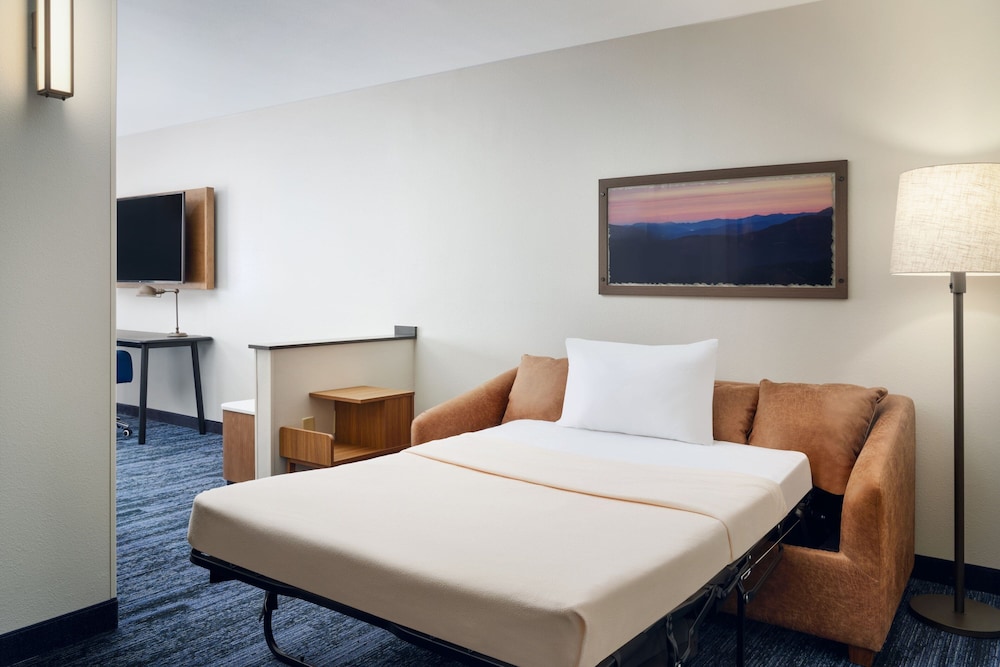 Suite, 1 King Bed with Sofa bed (Hearing Accessible) - Photo 2