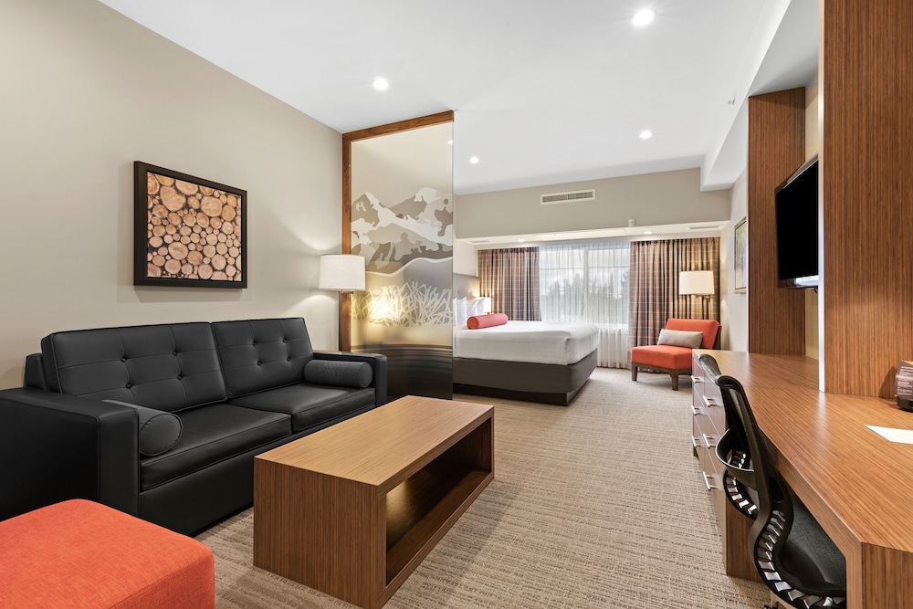 Suite, 1 King Bed with Sofa bed photo 1