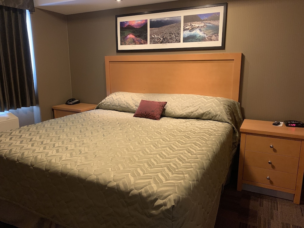 Executive Apartment