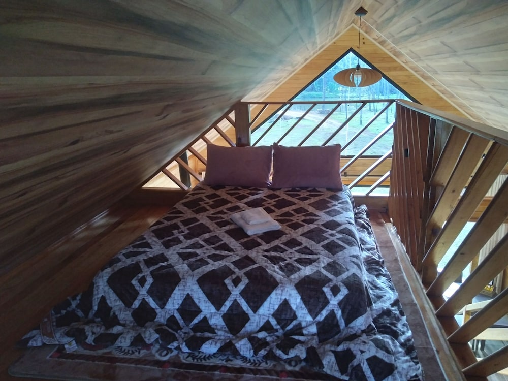 Cabin photo 1