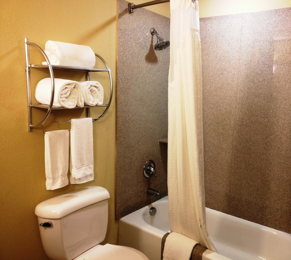 Suite, 1 Bedroom - Photo 4