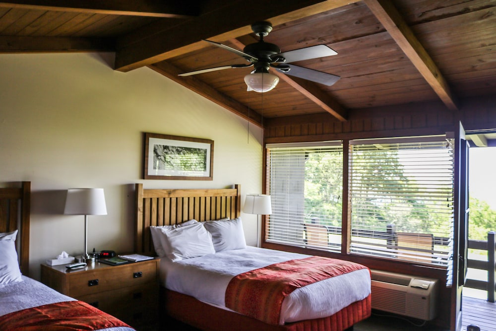 Room, 2 Queen Beds (Preferred) - Photo 3