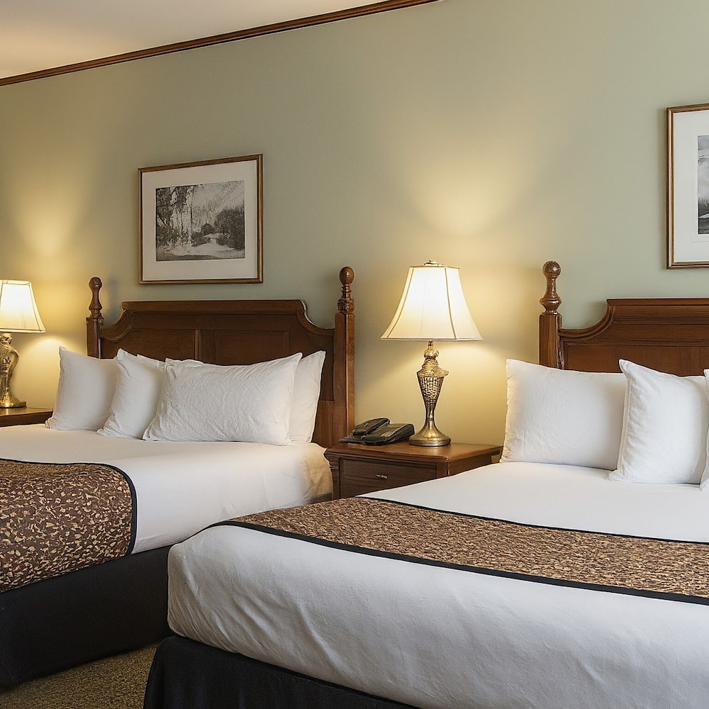 Premium Room, 2 Queen Beds photo 2