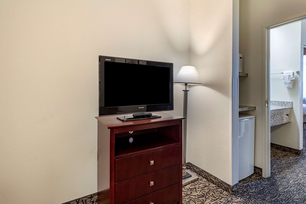 Suite, 1 King Bed, Non Smoking, Refrigerator & Microwave - Photo 5
