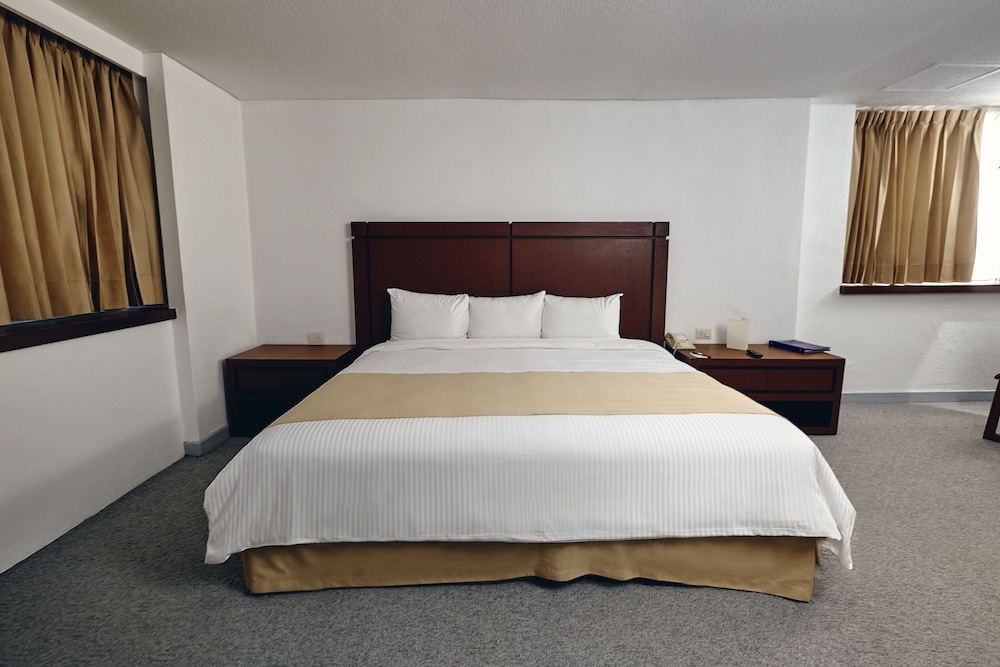 Standard Room, 1 King Bed, City View photo 3