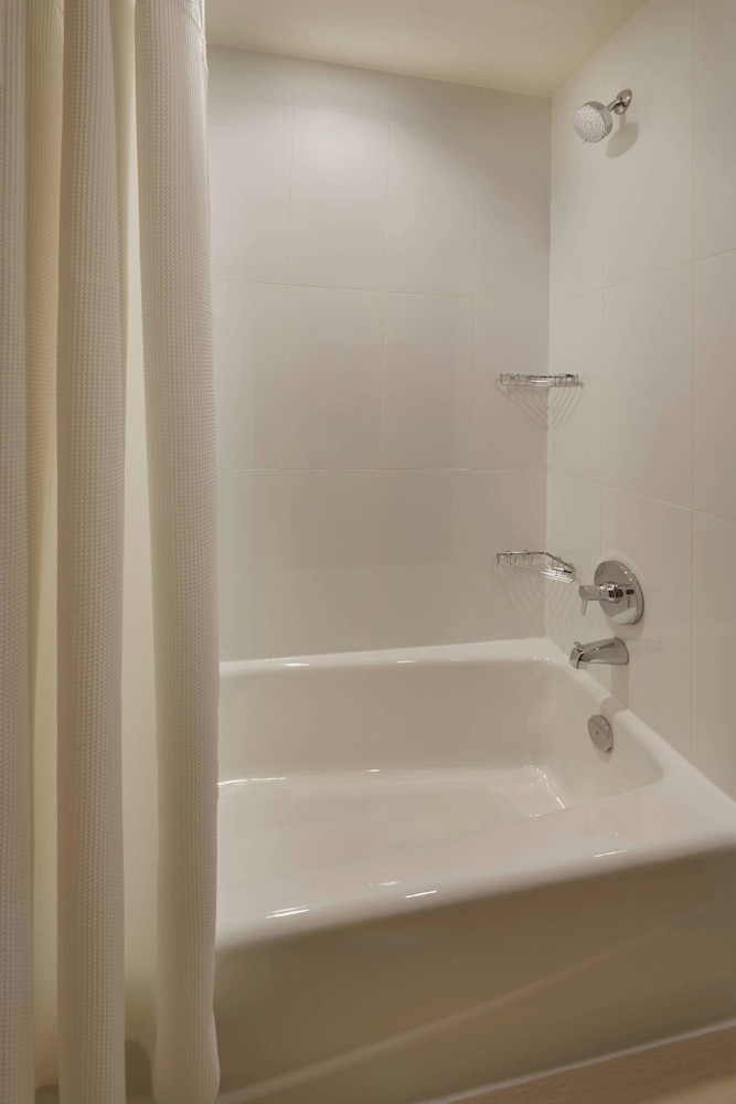 Suite, 1 Bedroom - Photo 4