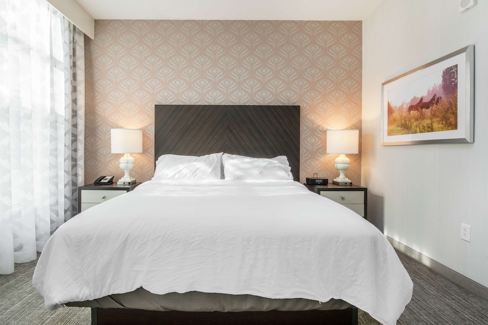 Room, 1 King Bed, Accessible,(Mobility & Hearing, Roll-in Shower) photo 2
