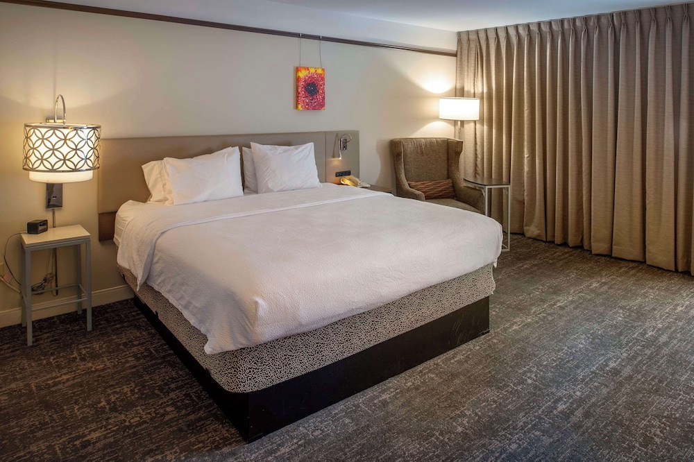 Room, 1 King Bed, Accessible - Photo 1