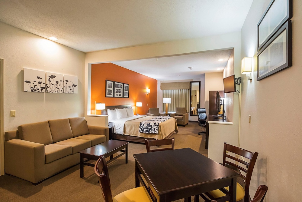 Suite, 1 King Bed with Sofa bed, Accessible, Non Smoking - Photo 3