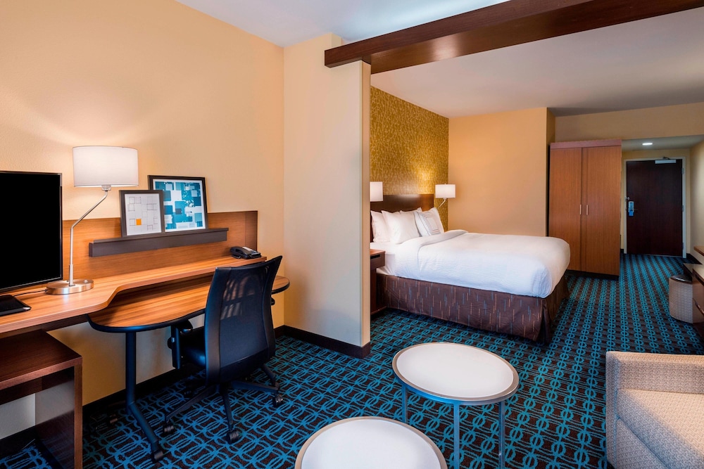 Suite, 1 King Bed with Sofa bed